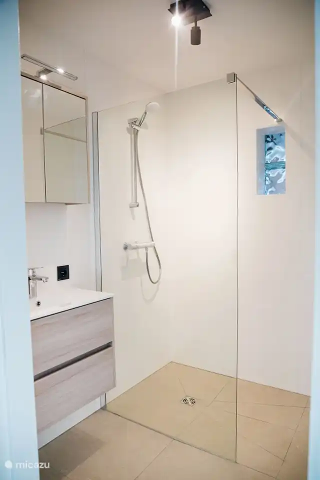 Begane grond: badkamer