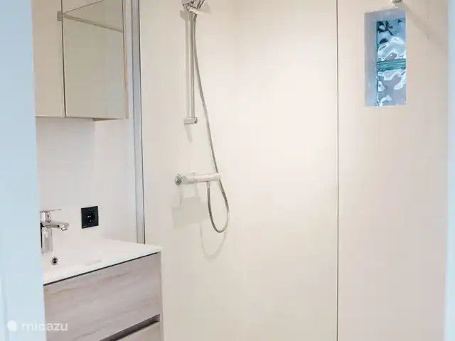 Heggerank 21 | Pays-Bas, Zélande, Nieuwvliet-Bad - maison de vacances Rez-de-chaussée : salle de bain
