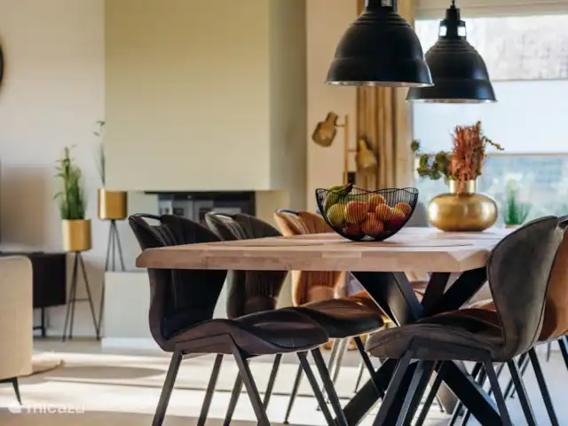 Heggerank 21 | Pays-Bas, Zélande, Nieuwvliet-Bad - maison de vacances Salon atmosphérique avec cheminée et portes-fenêtres donnant sur le jardin et un grand coin salon avec une Smart TV.