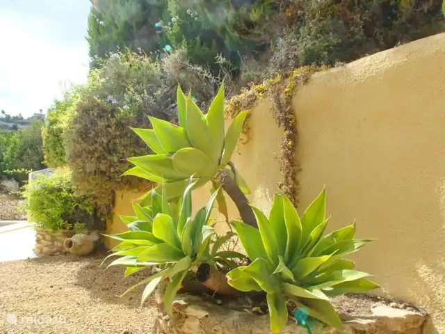 Villa Maravista | Espagne, Costa Blanca, Moraira - villa
