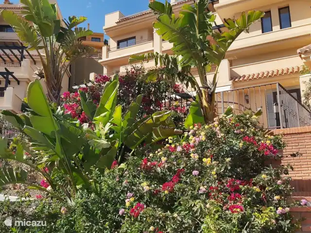 Casa Don Marco | Espagne, Costa Cálida, Aguilas - appartement