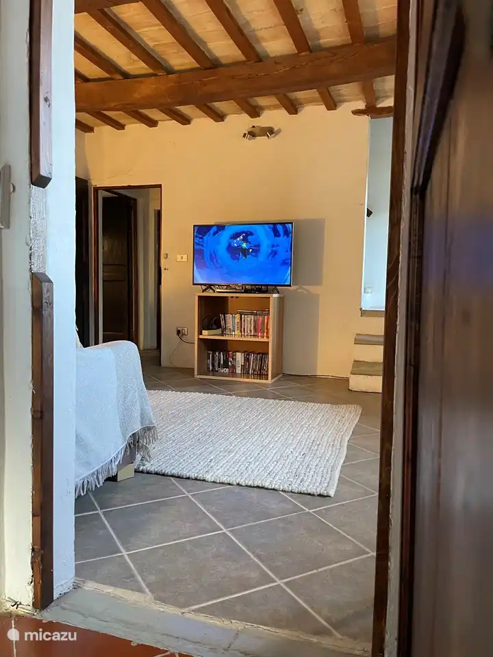 salle de télévision