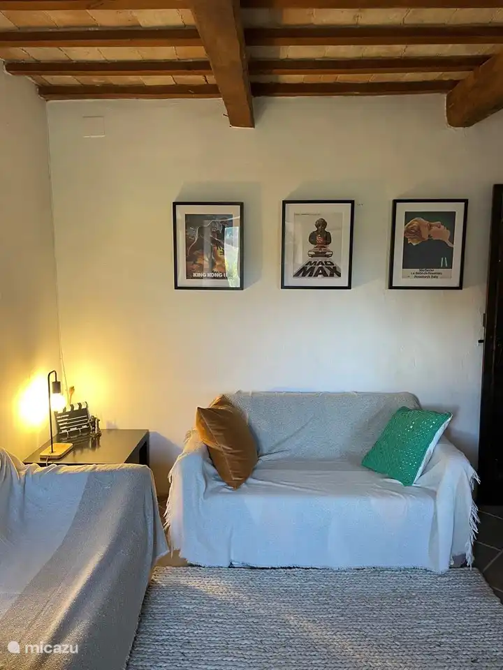 salle de télévision