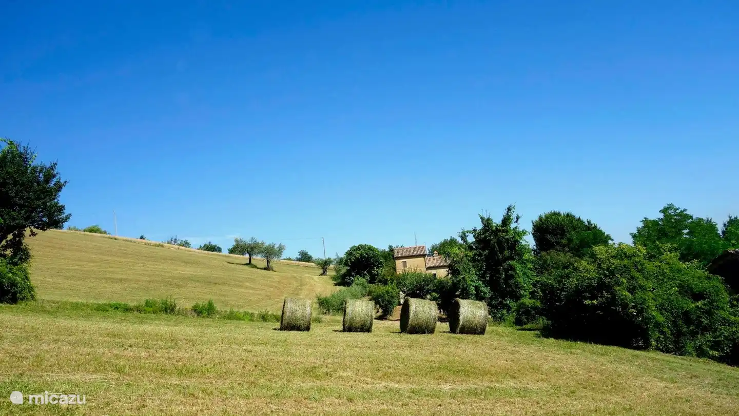 Tranquillité absolue