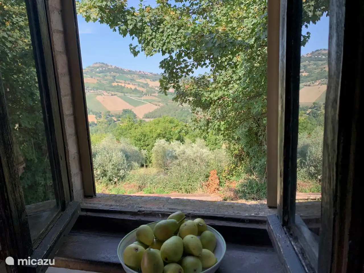 Vue depuis la chambre