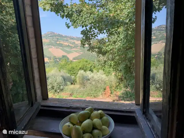 Casa Roman Chan | Italie, Marche, San Venanzo - villa Vue depuis la chambre