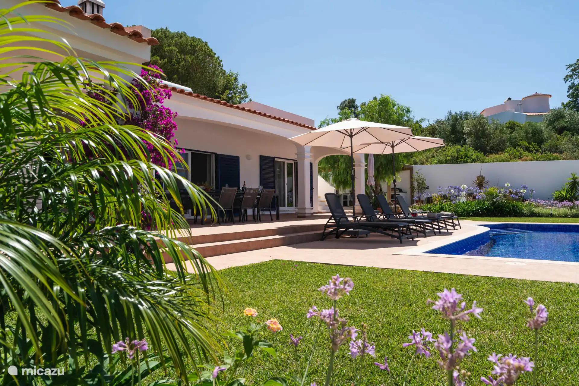 Genießen Sie den Pool