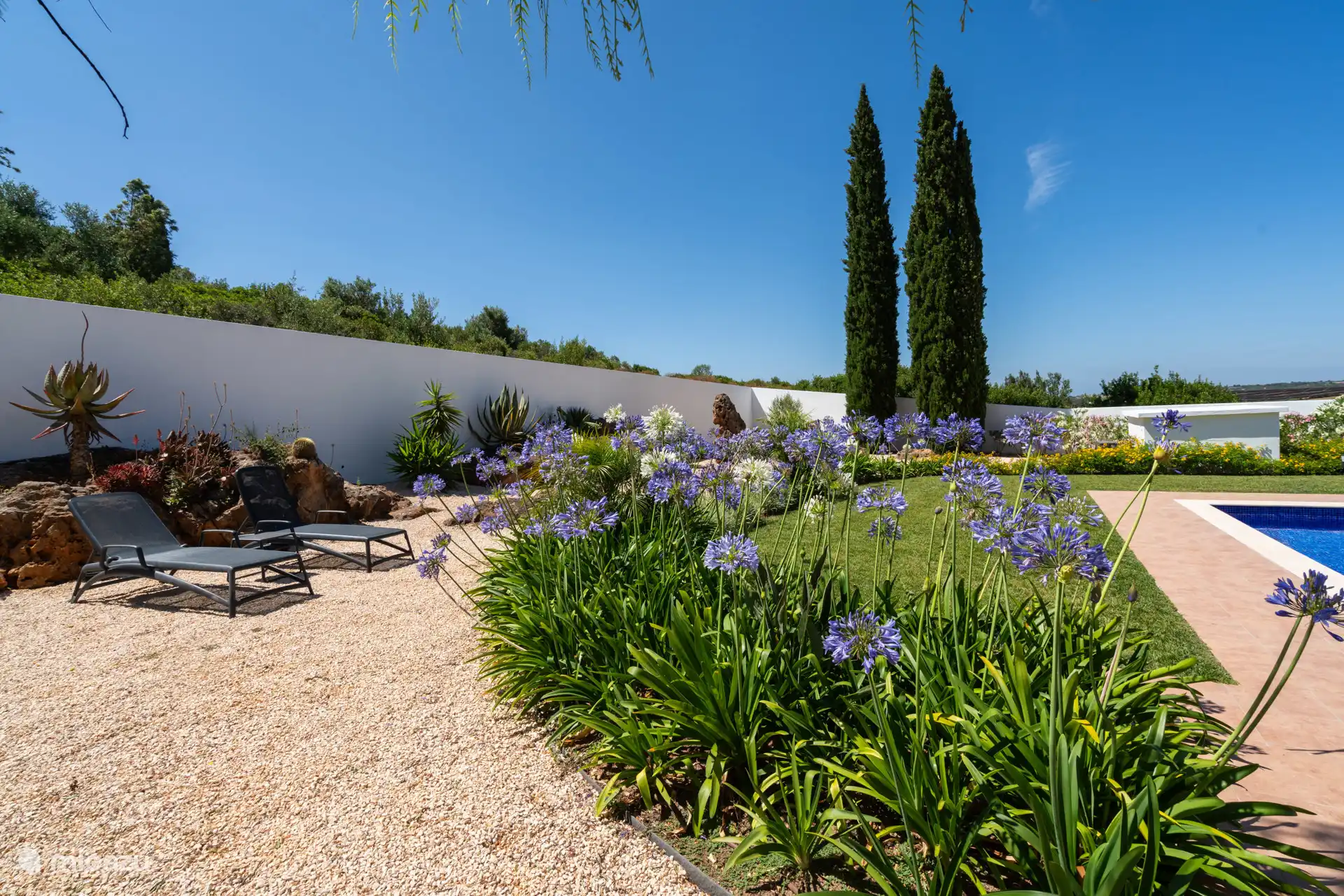 Entlang der Seite des Gartens sind noch die Felsen am Fuße der Colinas Verdes (grüne Hügel) zu sehen. Auf diesen Felsen wachsen viele tropische Pflanzen, eine Augenweide.