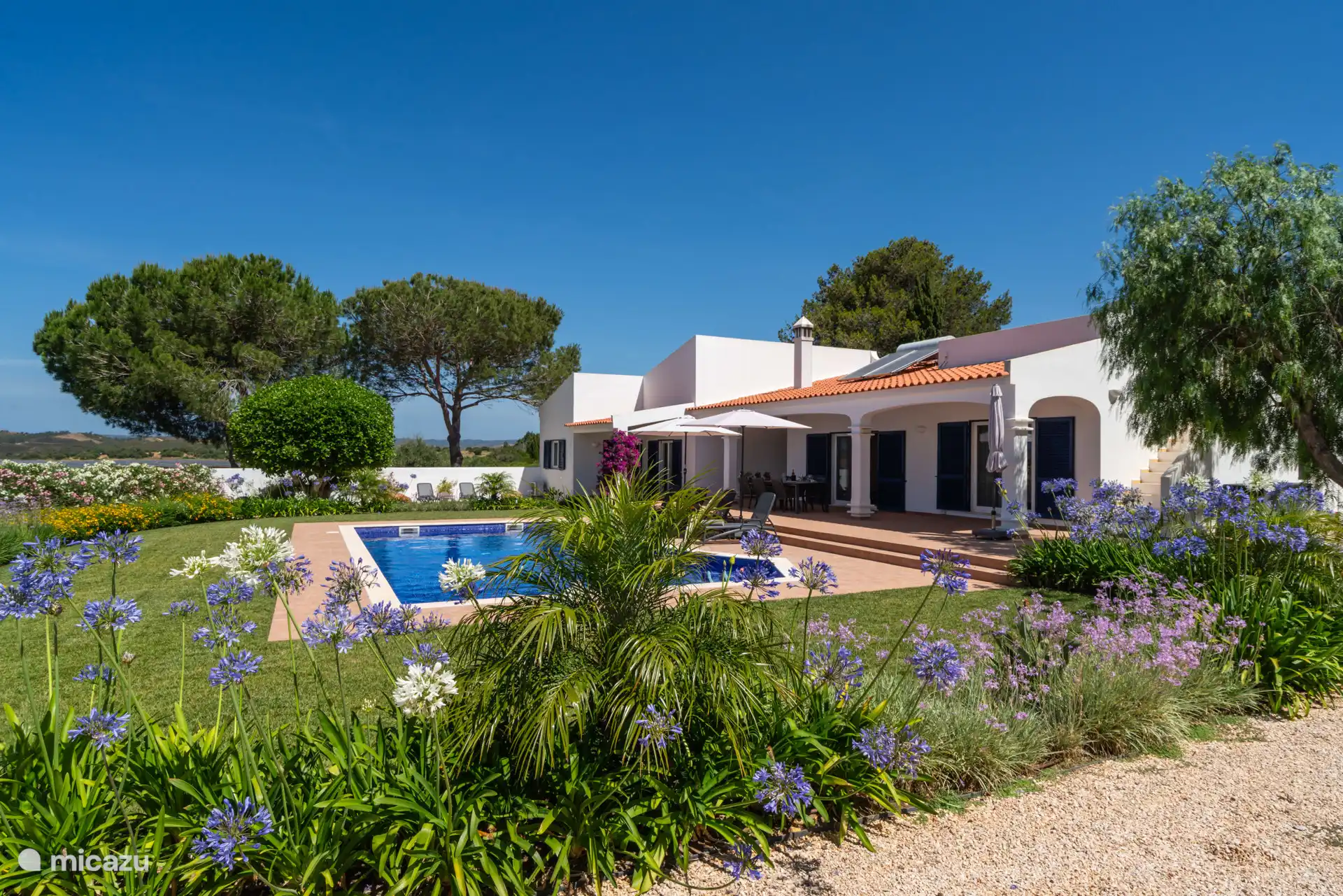 Der Garten ist seit der Modernisierung im Jahr 2023 stark gewachsen und steht nun in voller Blüte.