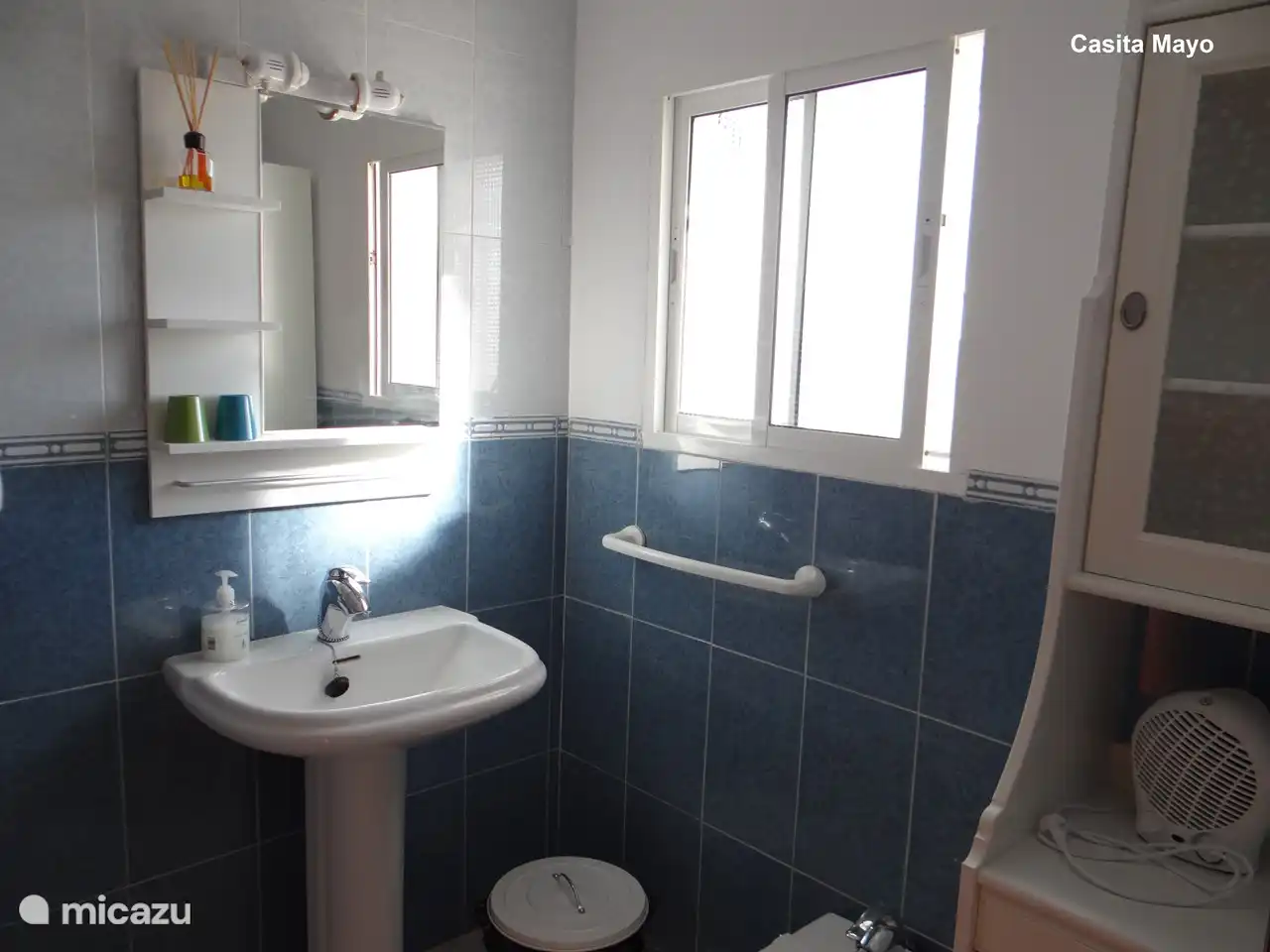 salle de bain privée avec douche, lavabo et toilettes