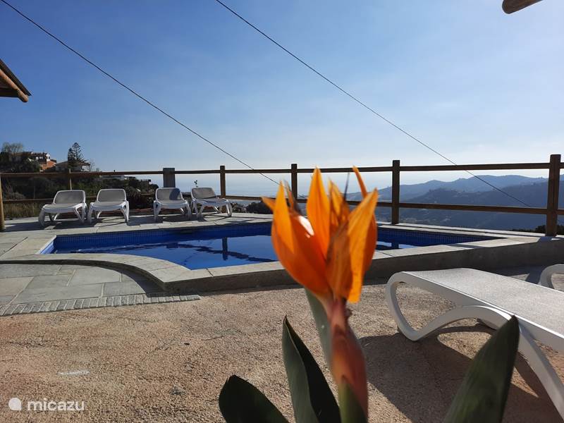 Vakantiehuis Spanje, Costa del Sol, Torrox Villa Cortijo el Mundo zee- en bergzicht