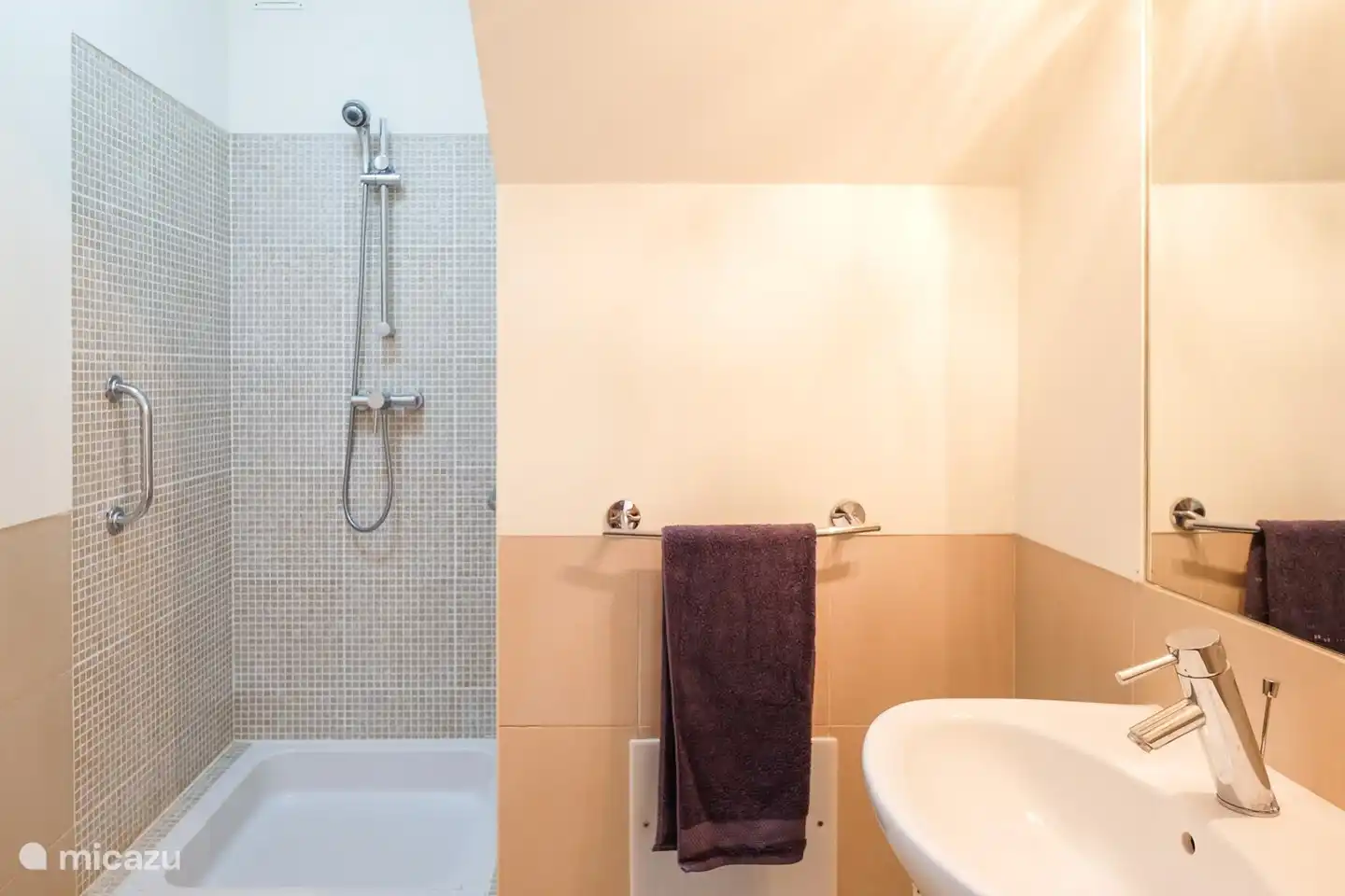 1. Badezimmer mit Dusche und WC im Erdgeschoss.