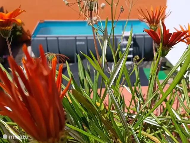 Casa Ananda met privé zwembad huren in Portugal, Algarve, Cabanas - villa