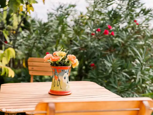 Villa Le Chalumeau en Francia, Aude, Carcasona - villa