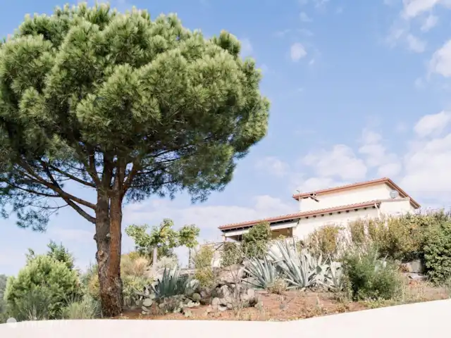 Villa Le Chalumeau en Francia, Aude, Carcasona - villa