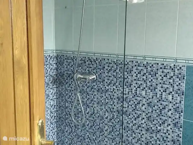 Appartement au B&B Casa Sarandy | Espagne, Andalousie, Almogía - chambres d'hôtes Salle de bain avec douche, toilette et lavabo