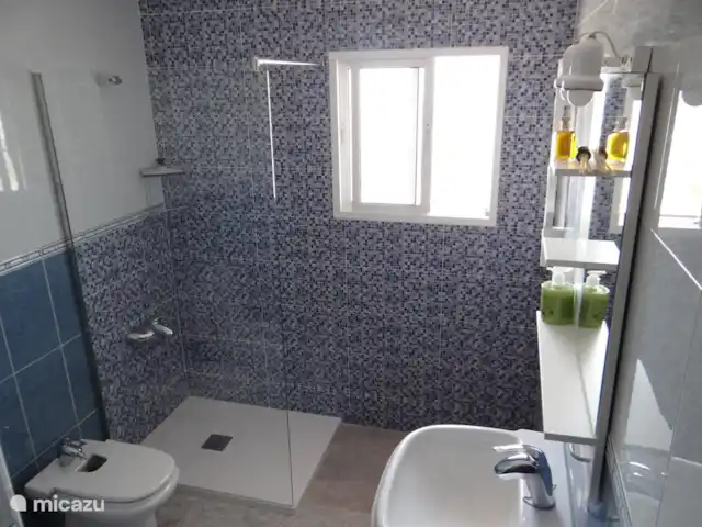Appartement au B&B Casa Sarandy | Espagne, Andalousie, Almogía - chambres d'hôtes Salle de bain avec douche, toilette et lavabo