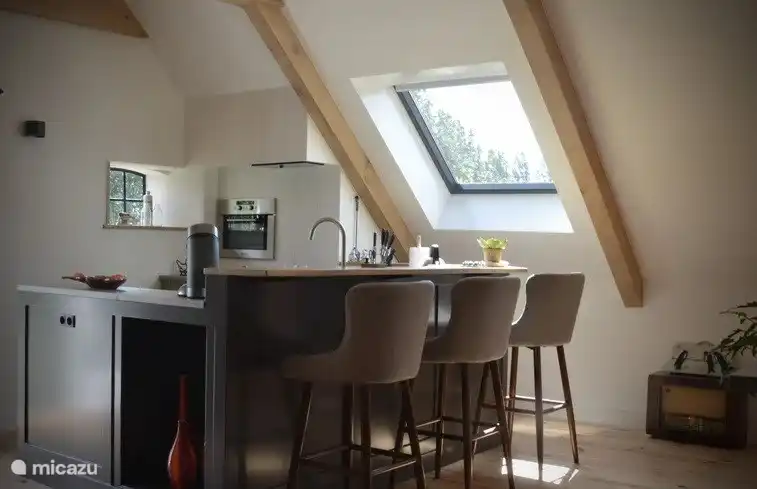 Coens Loft in Niederlande, Friesland, Tjerkwerd - Appartement