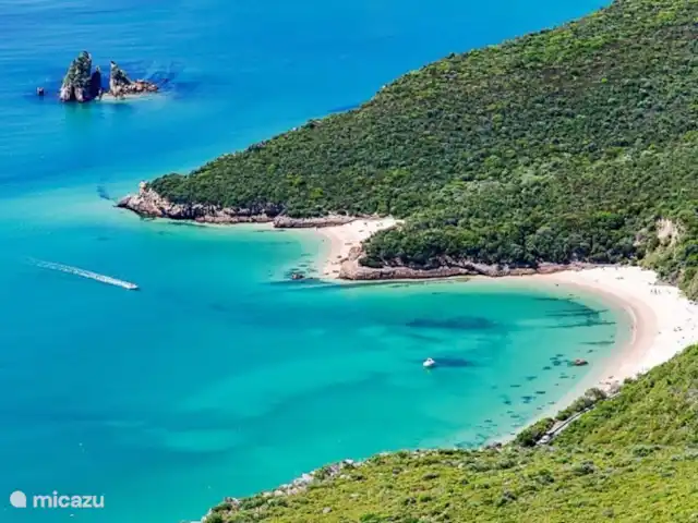 Location de Vacances Portugal, Côte de Lisbonne, Setúbal, ferme - Repos à 30 km de Lisbonne Arrábida, 20 minutes en voiture