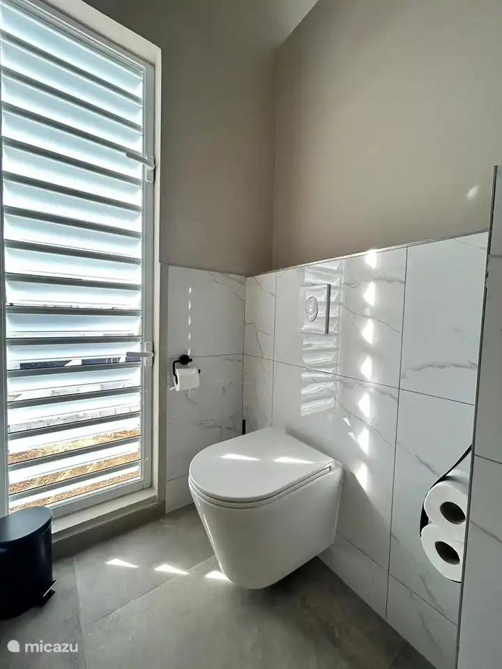 Salle de bain 1 avec WC suspendu.