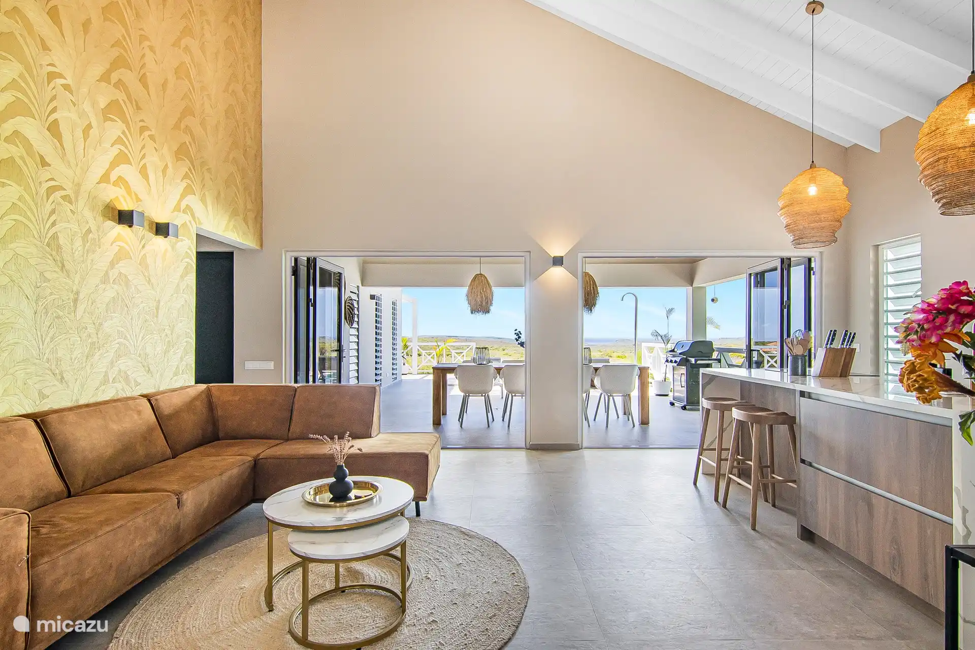 Vue d’ensemble photo salon avec grande cuisine ouverte de luxe !