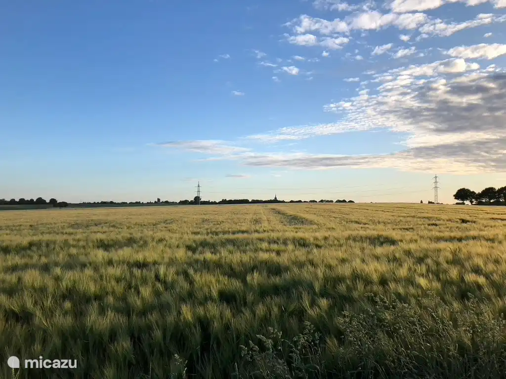 Umwelt; auf dem Plateau