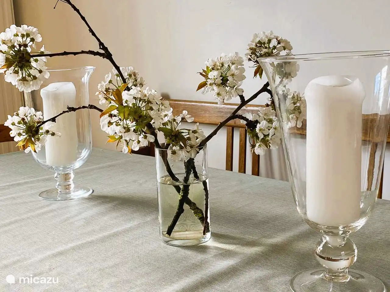 Kirschblüte im Esszimmer