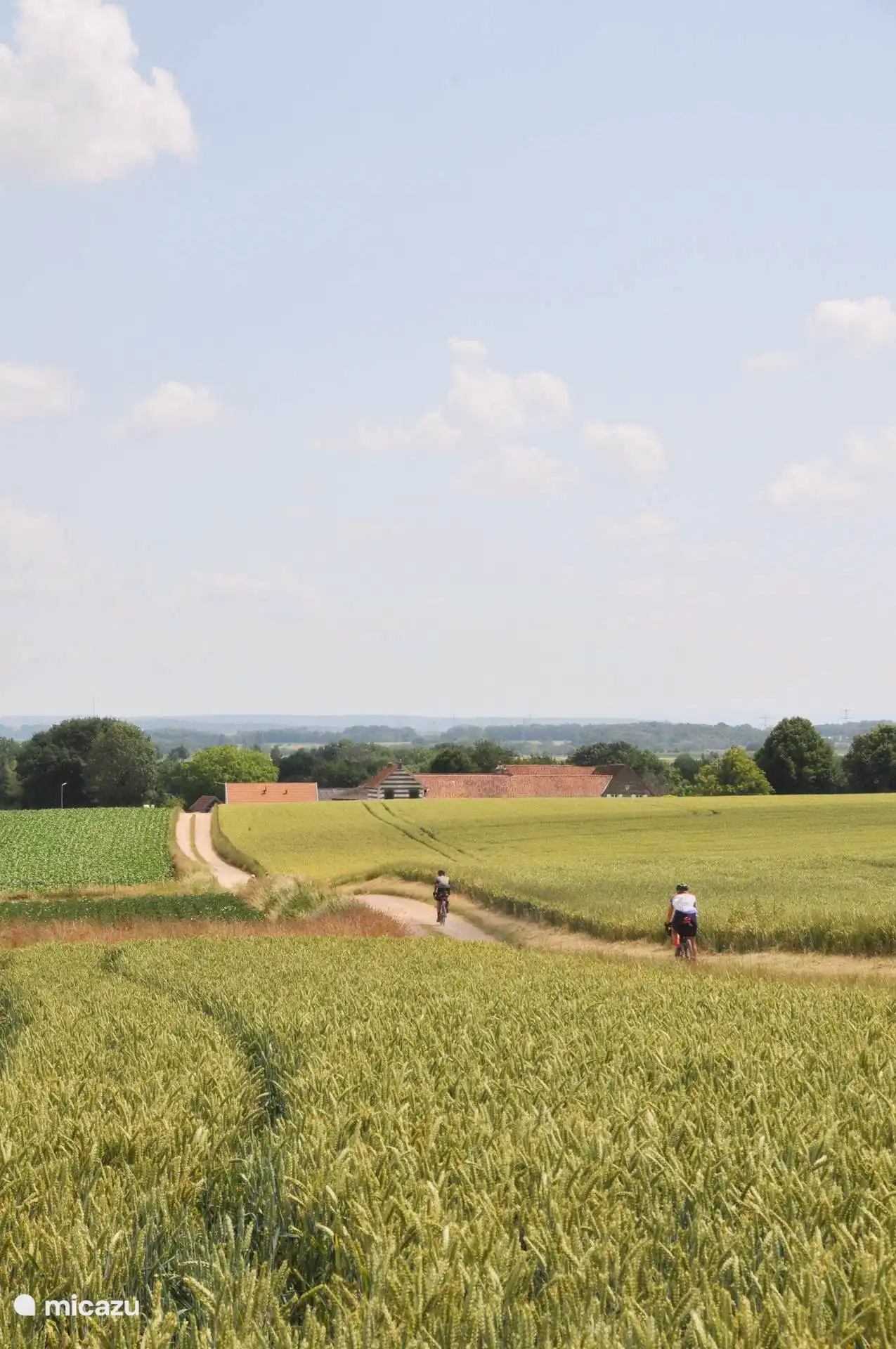 Das Haus versteckt in der Gegend