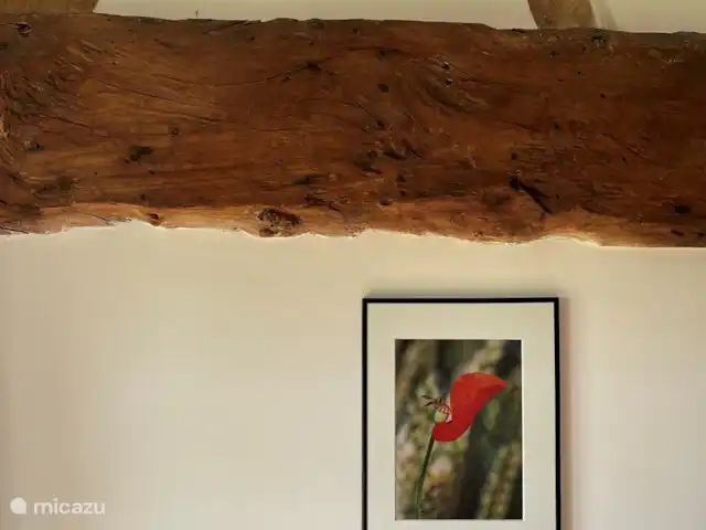 Maison de vacances dans les collines | Pays-Bas, Limbourg, Nuth - ferme Poutres originales et rustiques