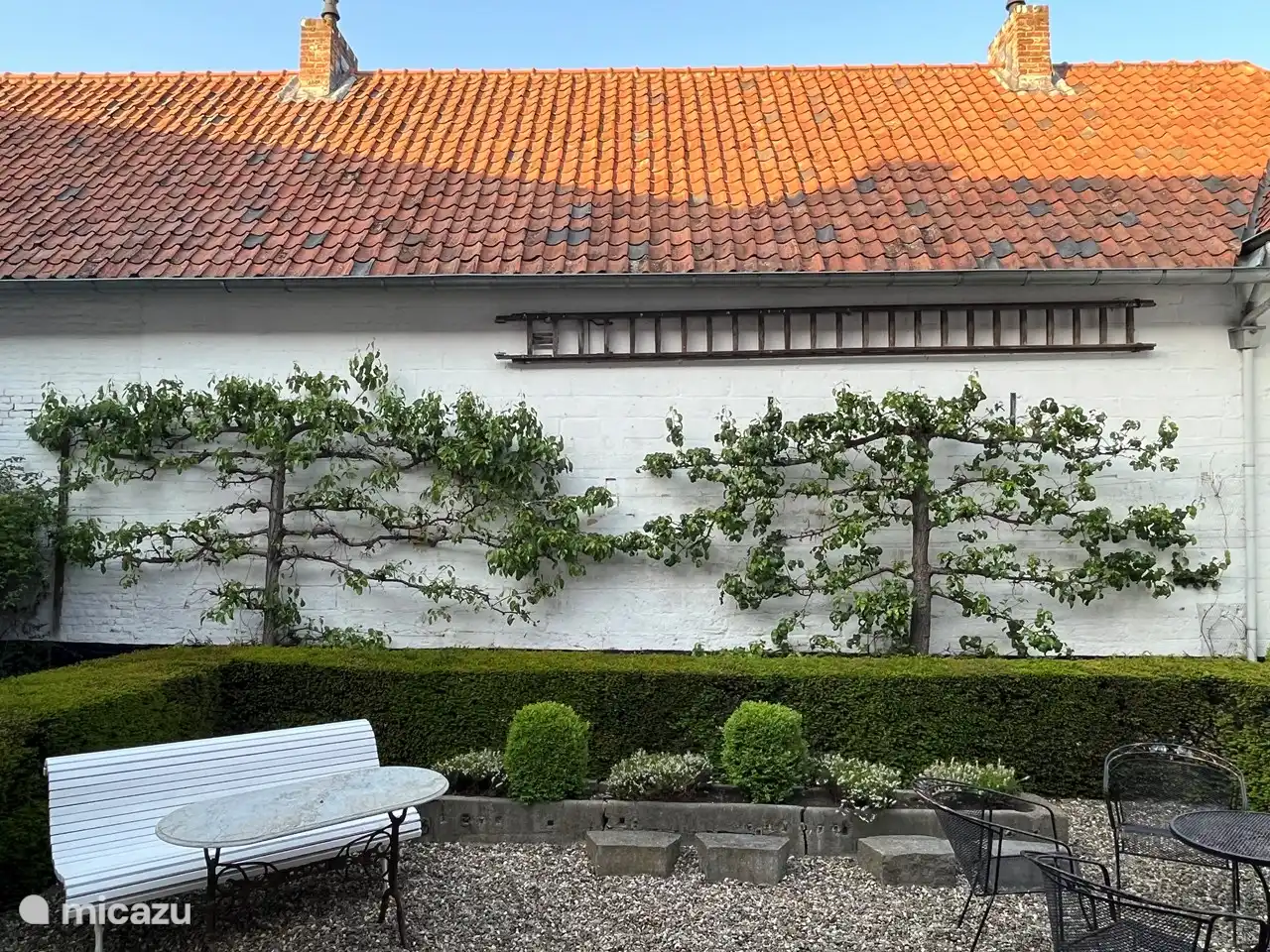 Authentischer und ruhiger Innenhof voller Vögel und einer Schaukel