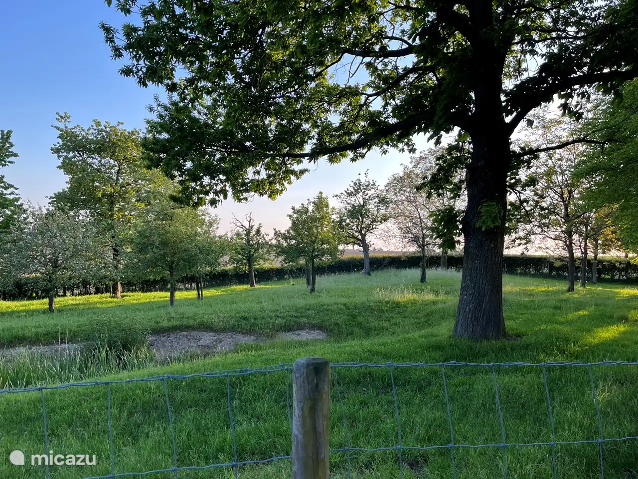 Schöne Aussicht über den Hochstammobstgarten