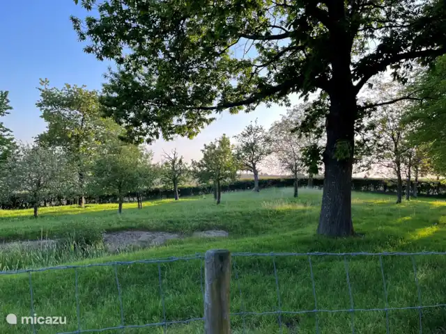 Maison de vacances dans les collines | Pays-Bas, Limbourg, Nuth - ferme Belle vue sur le verger standard