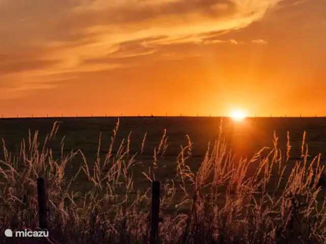 Maison de vacances dans les collines | Pays-Bas, Limbourg, Nuth - ferme Coucher de soleil
