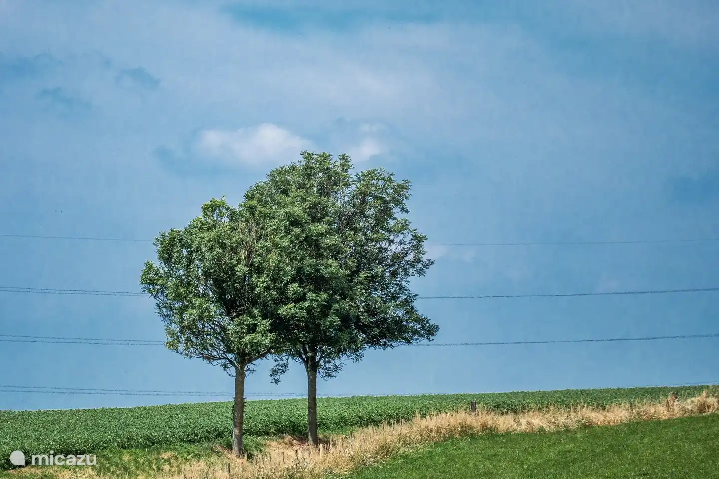 Umgebung mit weitem Ausblick