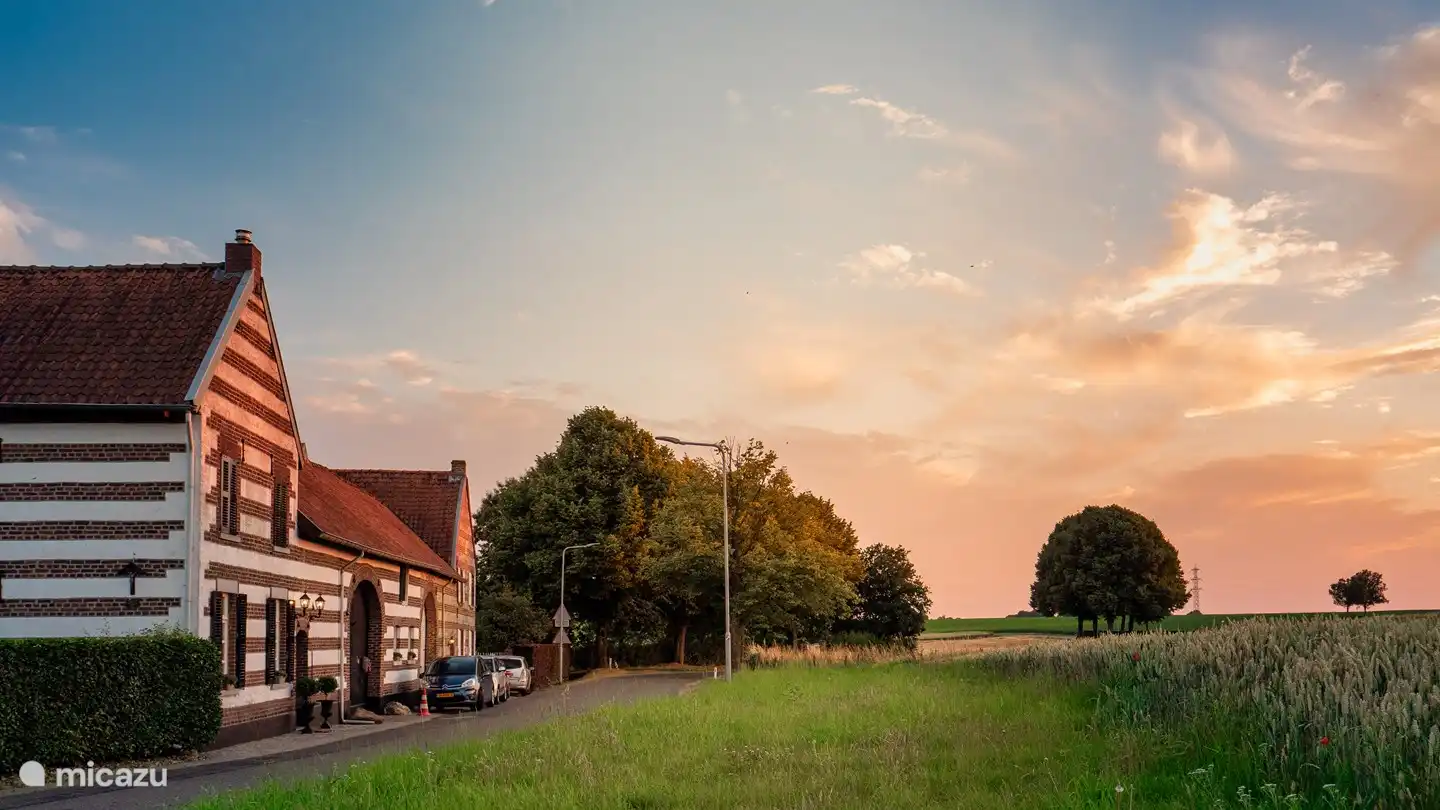 Die untergehende Sonne