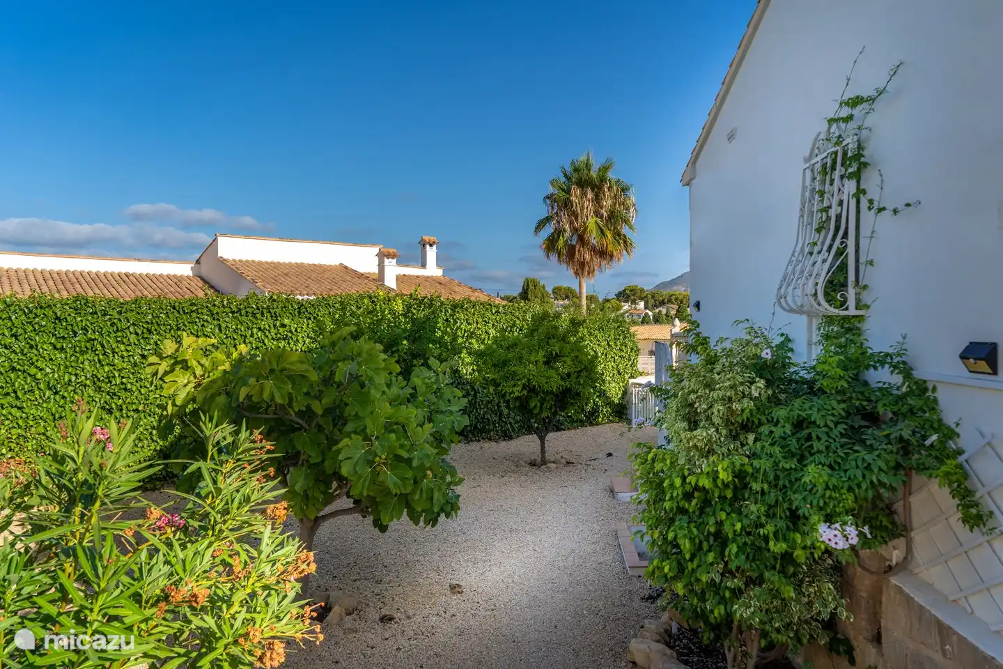 Garten mit Obstbäumen