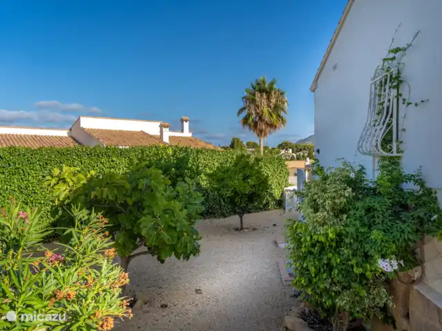 Casa Luz del Mar | Espagne, Costa Blanca, Alfáz del Pi - villa Jardin avec arbres fruitiers