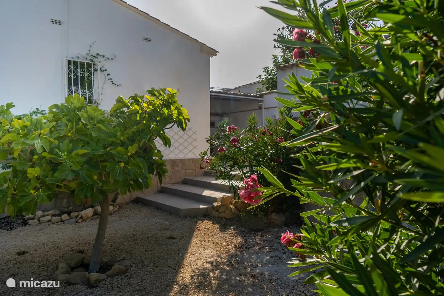 Garten mit Obstbäumen