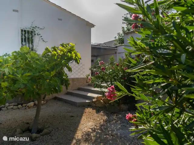 Casa Luz del Mar | Espagne, Costa Blanca, Alfáz del Pi - villa Jardin avec arbres fruitiers