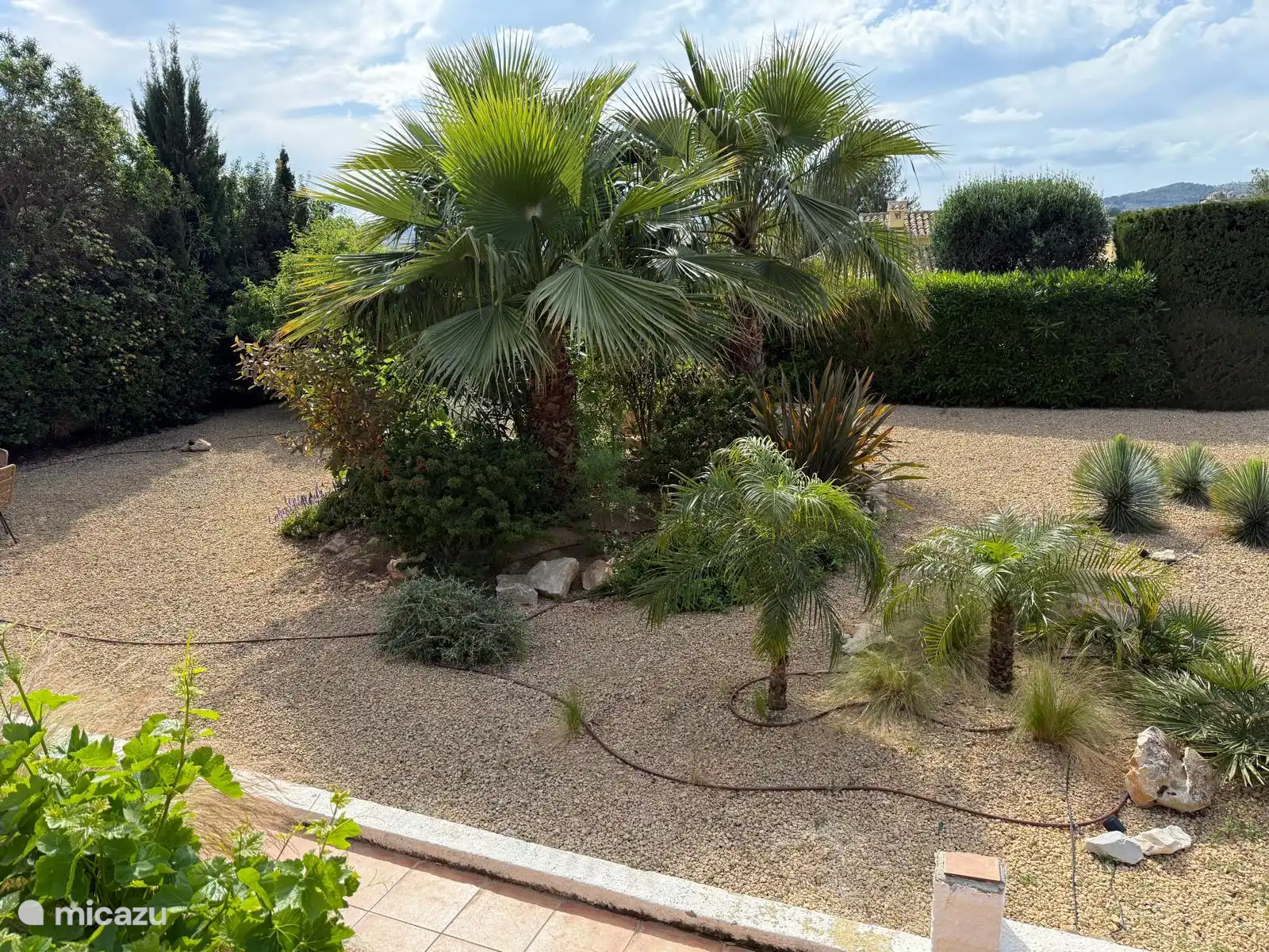 The tropical garden was laid out by a landscape architect