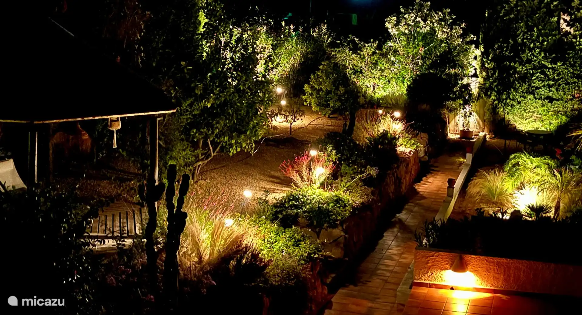 The garden is beautifully lit at night