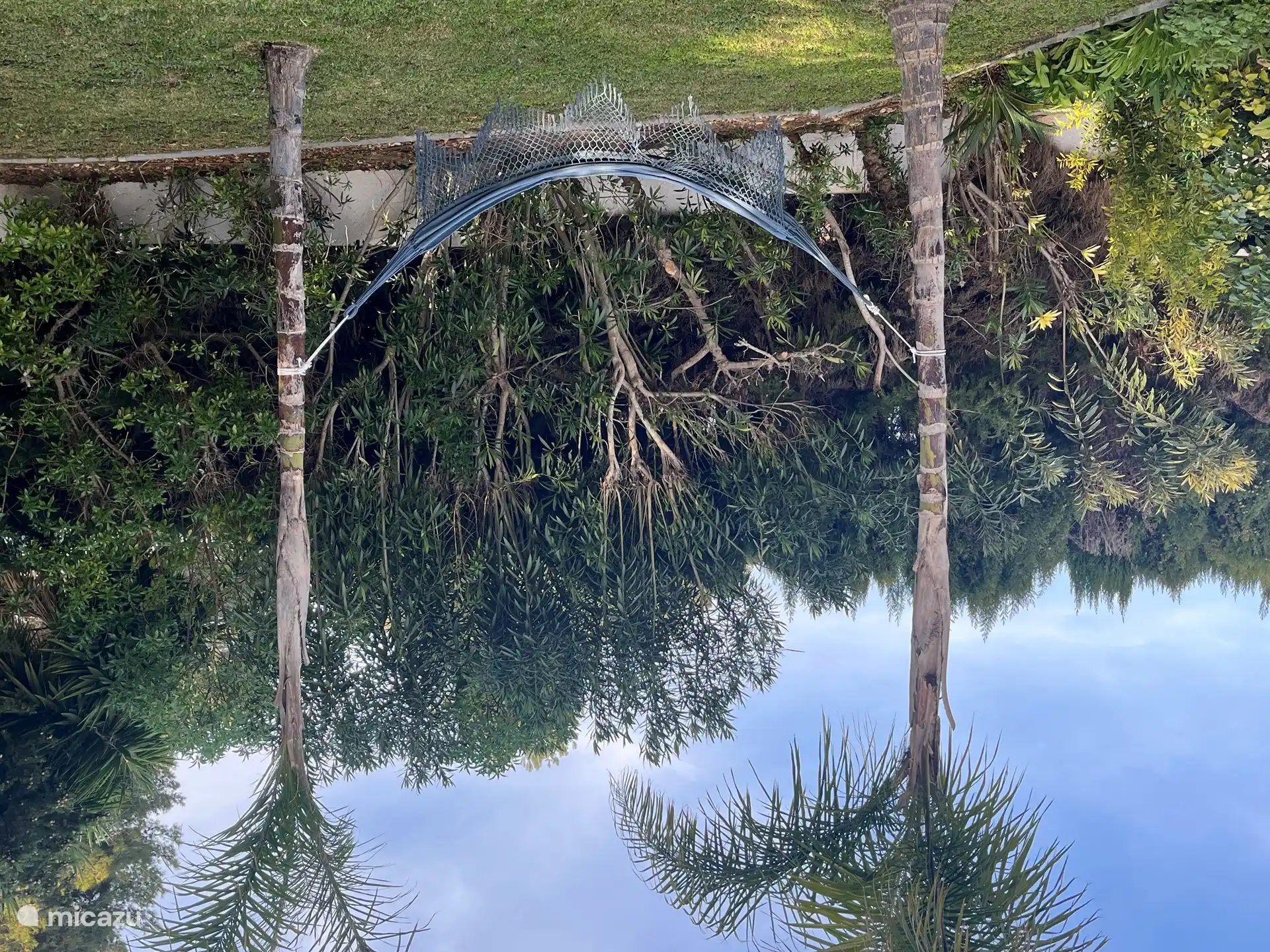 Can you already see yourself lying between the palms in the hammock?