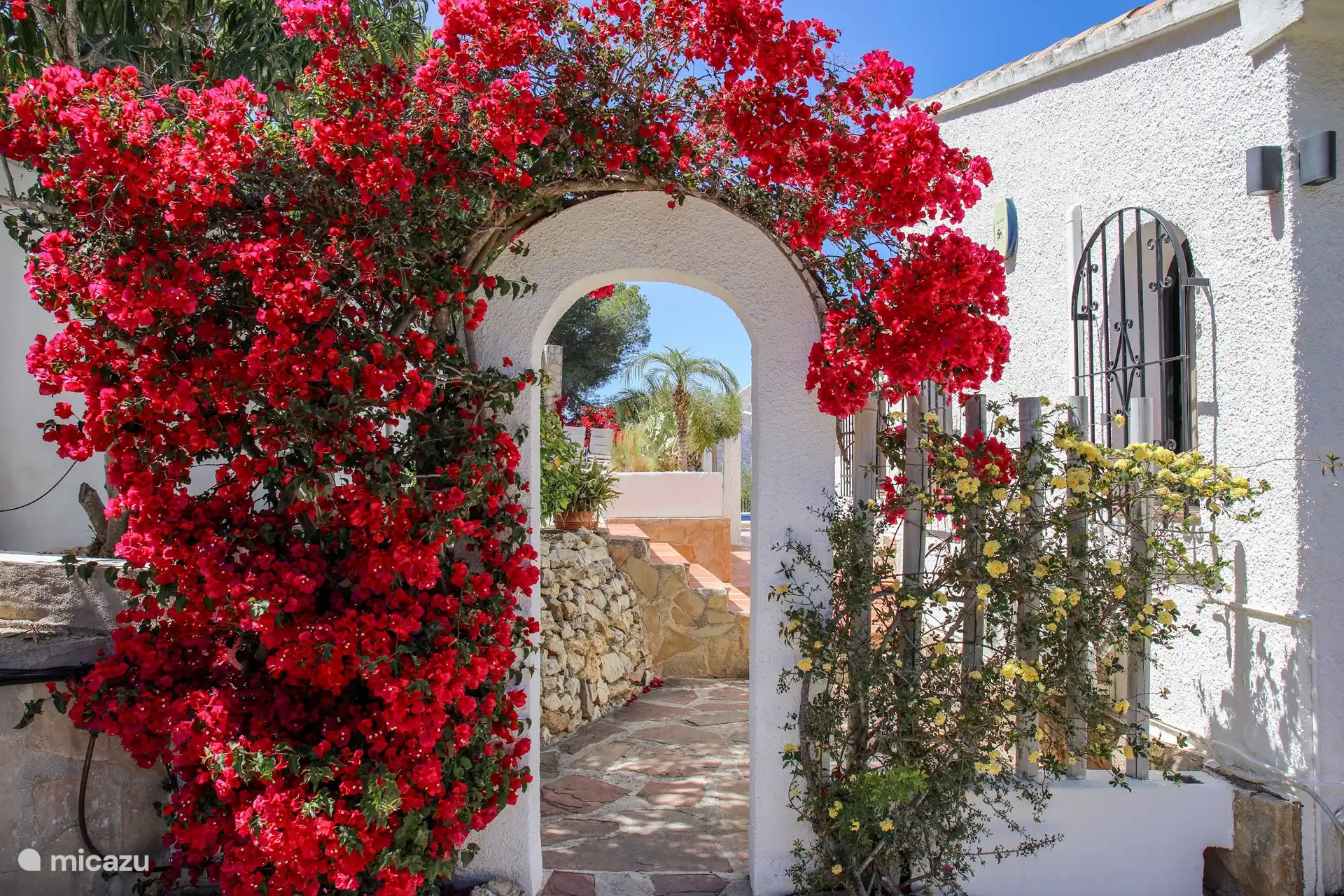 Sie betreten den Blumengarten der Villa Montgo