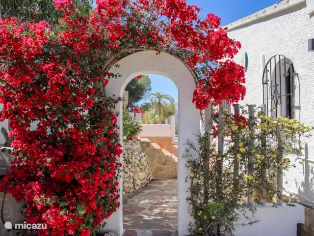 Villa Montgo | Espagne, Costa Blanca, Jávea - villa Vous entrez dans le jardin fleuri de la Villa Montgo