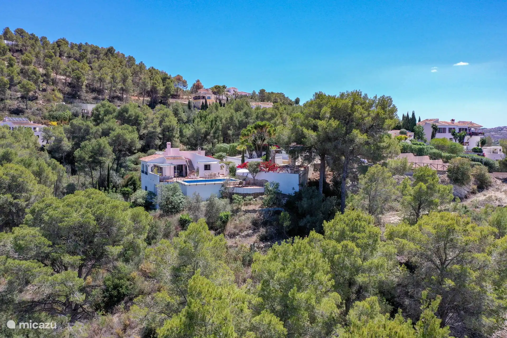Schön im Grünen! Und wussten Sie, dass Sie auch eine Dachterrasse haben?