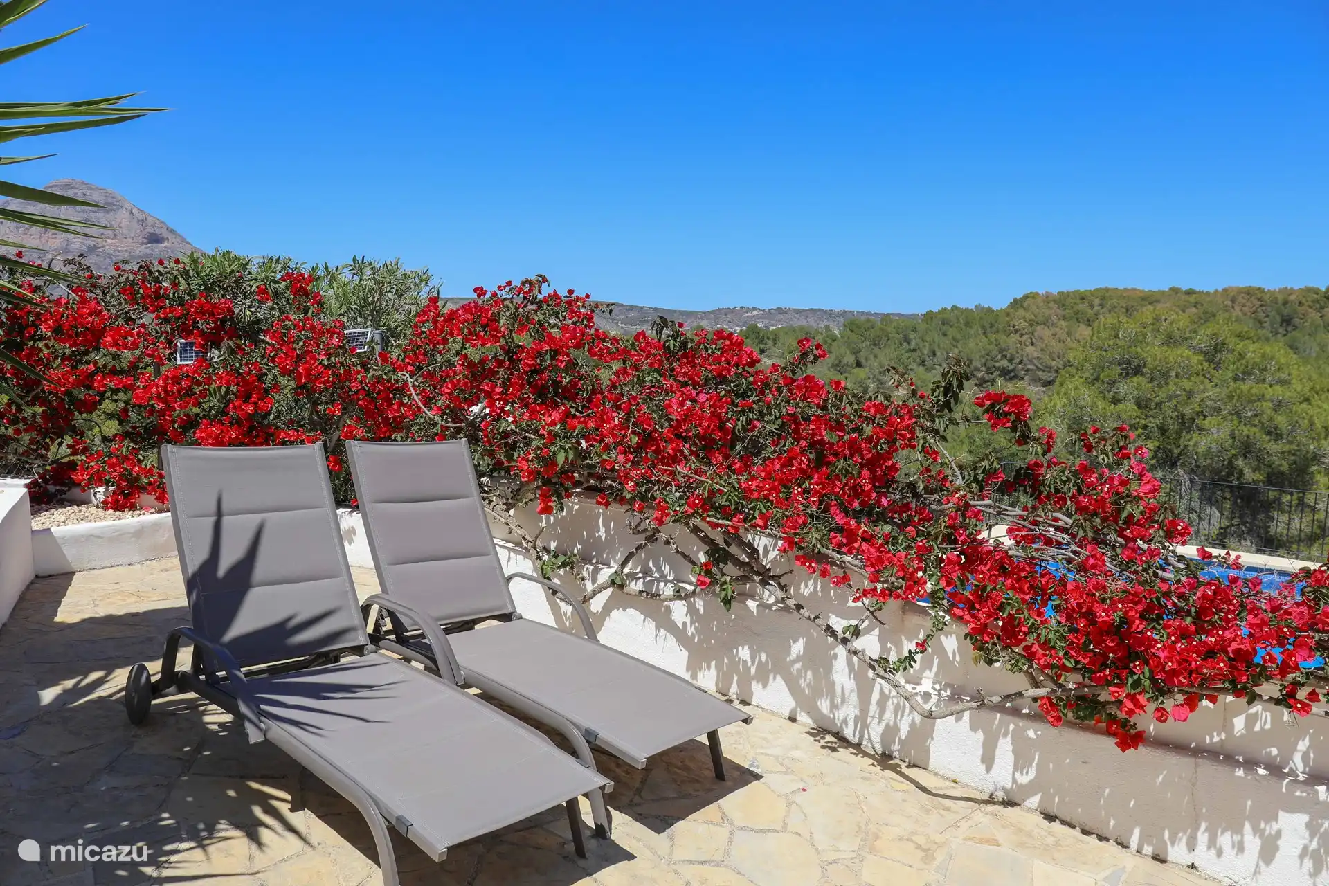 Entspannen Sie sich in Ihrem Garten