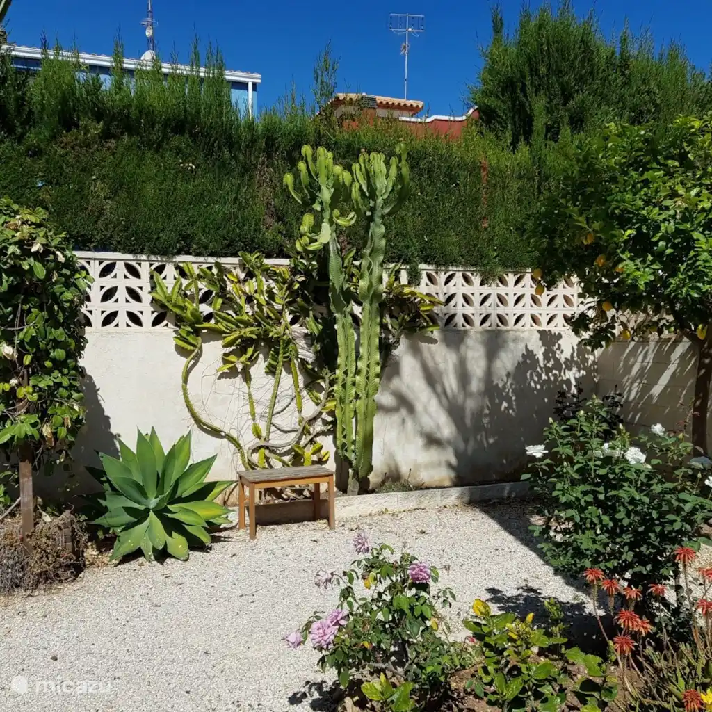CasaBoks "Les Bovetes", foto 5