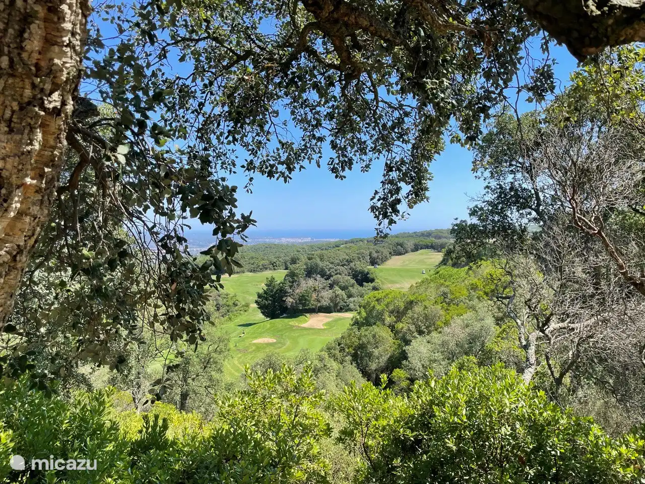 beautiful green nature