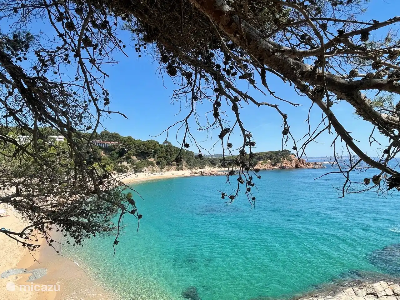 Sa Conca near the apartment.