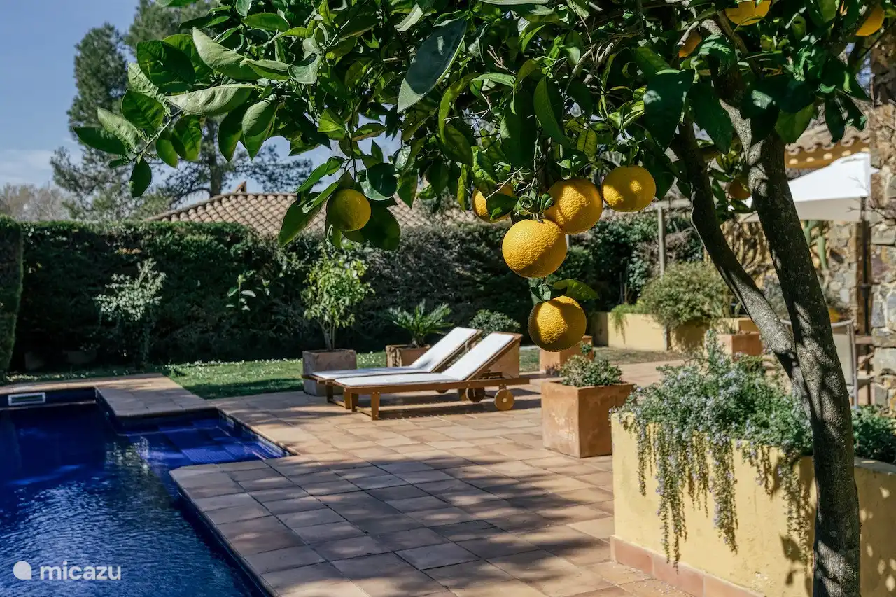 sentimiento mediterraneo